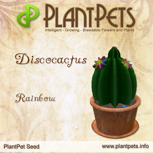 PlantPet Seed [Discocactus *Rainbow*]RARE ELITE