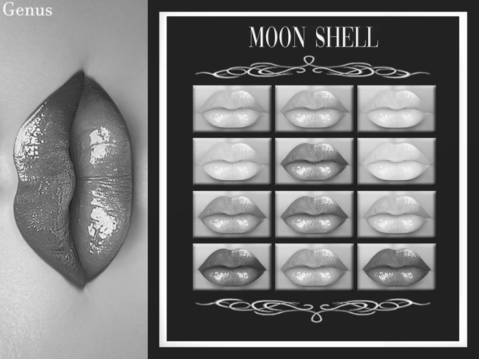 Moon Shell Demo Katniss Lipsticks Applier Genus