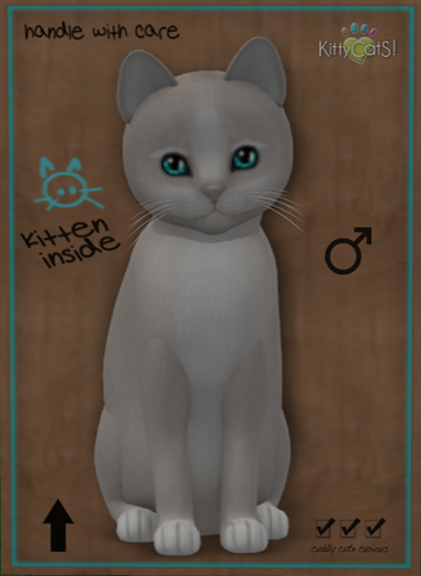 KittyCatS Box – New Born Kitten – Fur: Genesis – Pearl II – Eyes: Aqua
