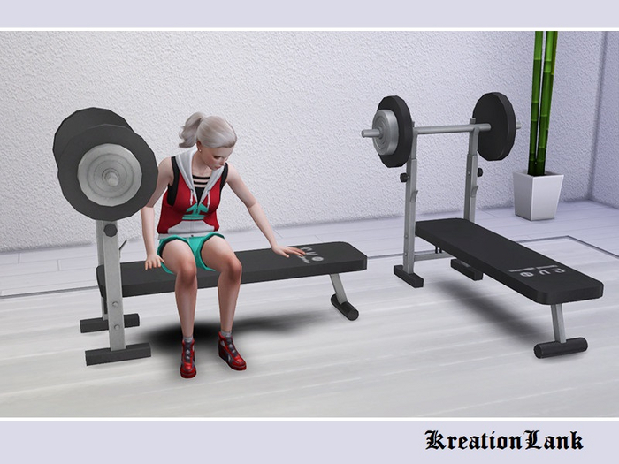 Strong. Exercise Bench with a Barb FULL PERM