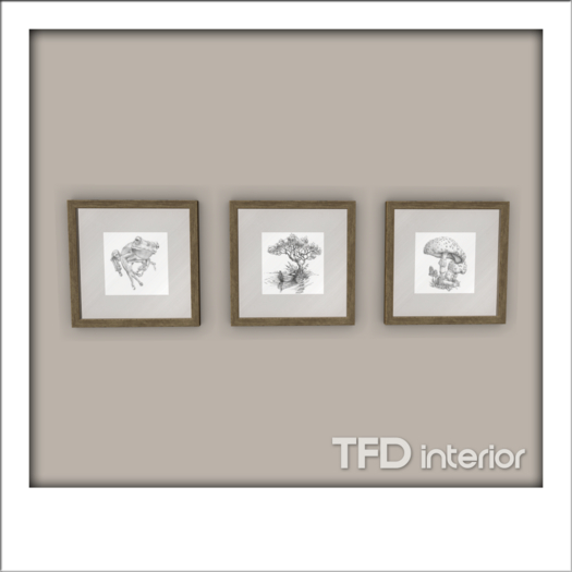 [TFD] interior - 3 Square Frame (Dark)