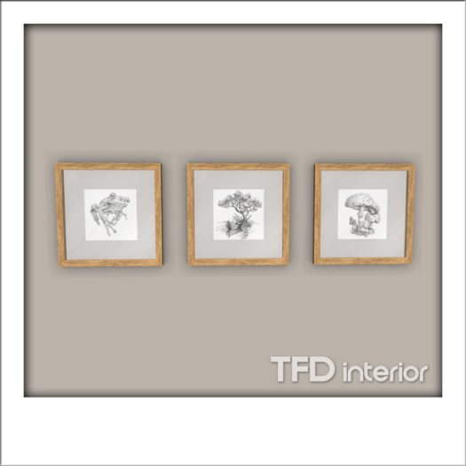 [TFD] interior - 3 Square Frame (Red)