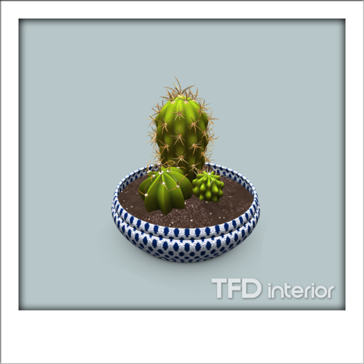 [TFD] interior - Cactus Trio  in a Bowl