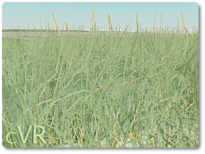 cVR realistic grass model A1 linear box