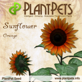 PlantPet Seed [Sunflower *Orange*] Common