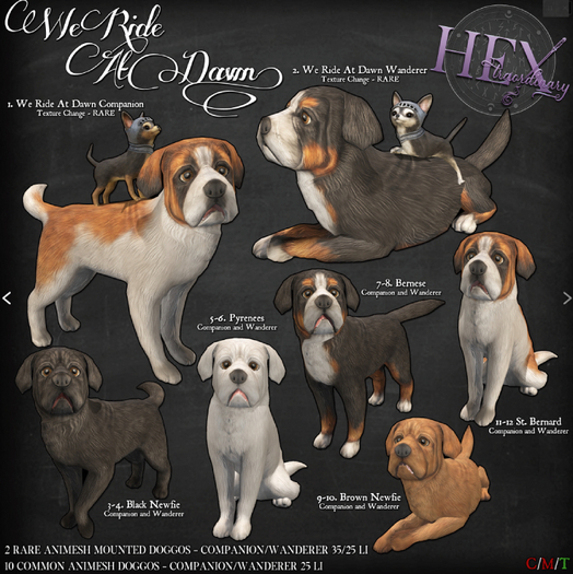1. HEXtraordinary - We Ride At Dawn Companion - RARE