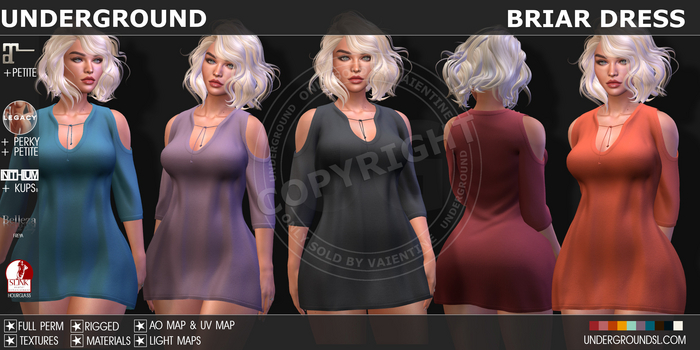 [UG MESH] BRIAR DRESS - FULL PERM