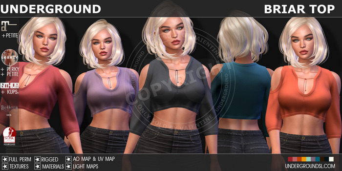 [UG MESH] BRIAR TOP  - FULL PERM