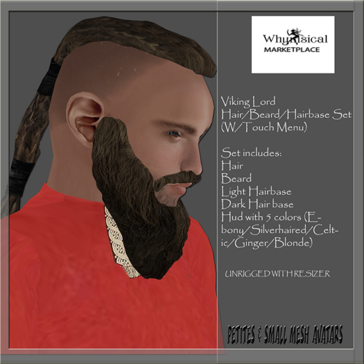 Viking Hair/Beard(w/menu) Small Mesh (BOXED)Non-Rigged