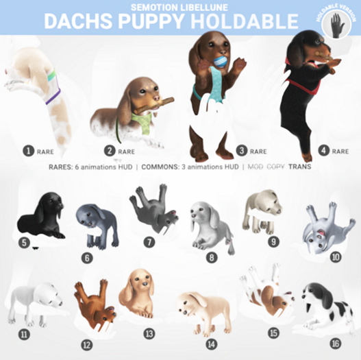 4. SEmotion Libellune Dachs Puppy Holdable RARE