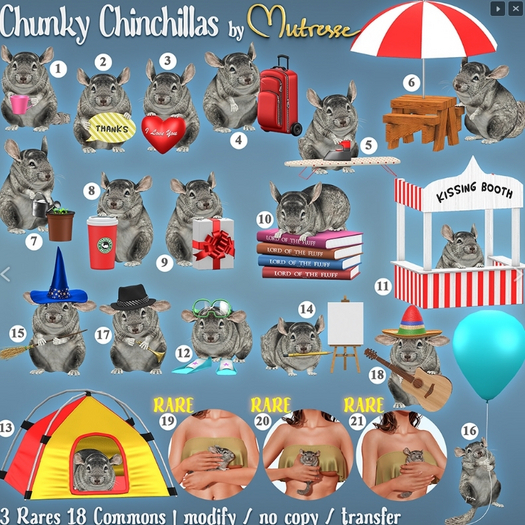 20. Mutresse-Chunky Chinchillas RARE