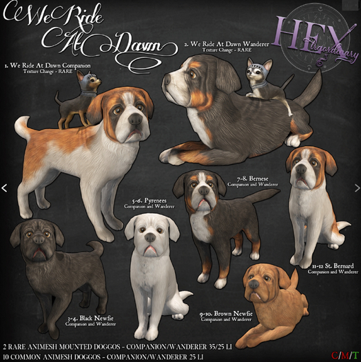1. HEXtraordinary - We Ride At Dawn Companion - RARE