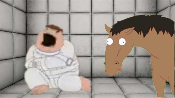 [Hoera's]-Peter, the horse is here