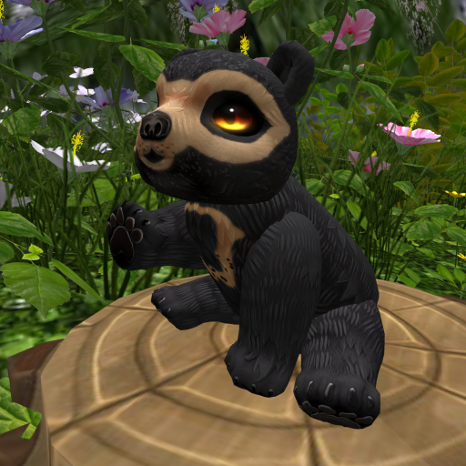 Kreatures 7th Generation Sunny Bear Breeding Pair