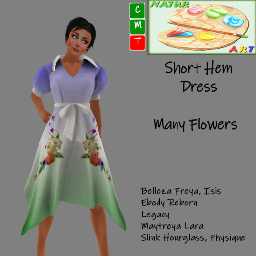 NaturArt  Short Hem Dress Many Flowers