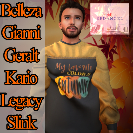 Fall 22 - Autumn Color Sweater