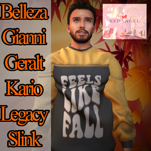 Fall 22 - feels like fall Sweater