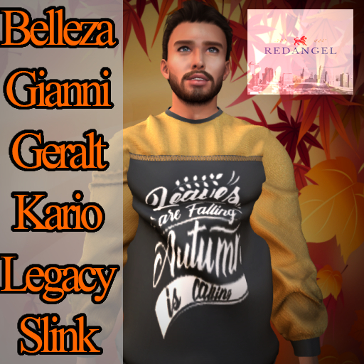 Fall 22 - Leaves are falling Sweater