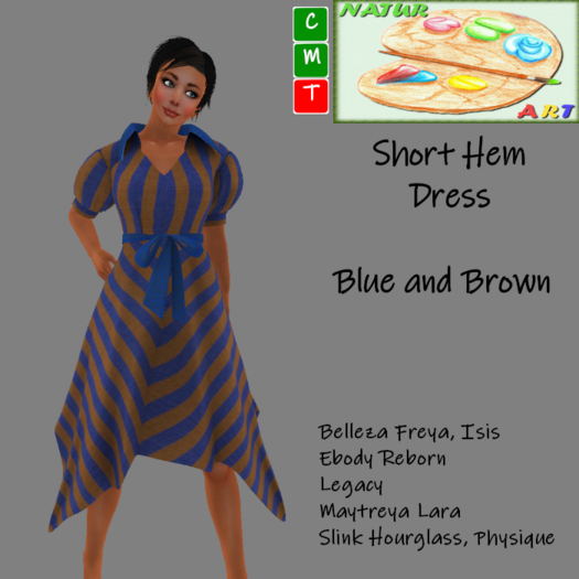 NaturArt Short Hem Dress Blue and Brown