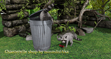 Mutresse-Cheeky Raccoons-Cheering