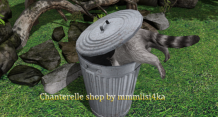15 Mutresse-Cheeky Raccoons-Diving