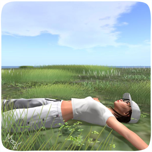 MMM-Wild grass series-Long Grass Lawn-3Types pack