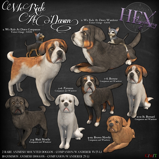 2. HEXtraordinary - We Ride At Dawn Wanderer - RARE