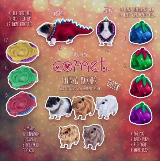 guinea piggies  {sugar} //comet.