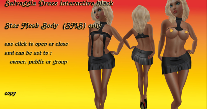 Selvaggia Dress black interactive SMB boxed