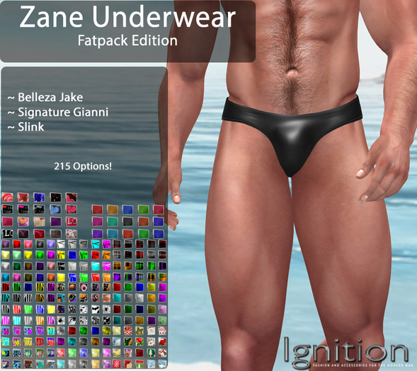 Ignition Zane Underwear Fatpack