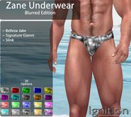 Ignition Zane Underwear Blurred