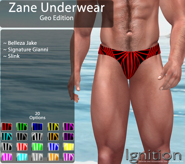 Ignition Zane Underwear Geo