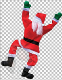 595 - Winter - Christmas - Climbing Santa - Garden - Home - House - Land Decoration