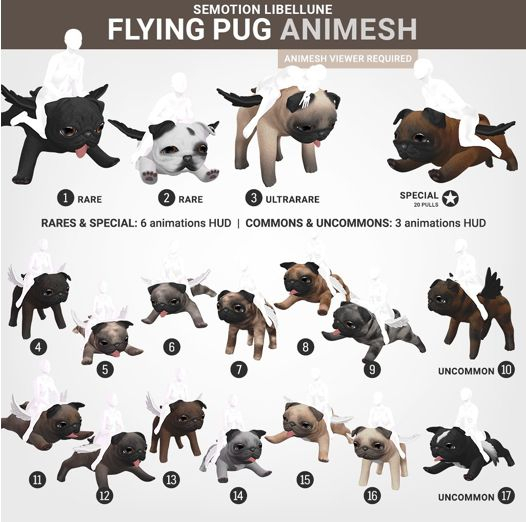 SEmotion Libellune Flying Pug #4