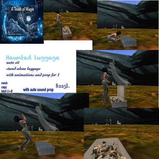 Haunted Luggage -Box LI=8