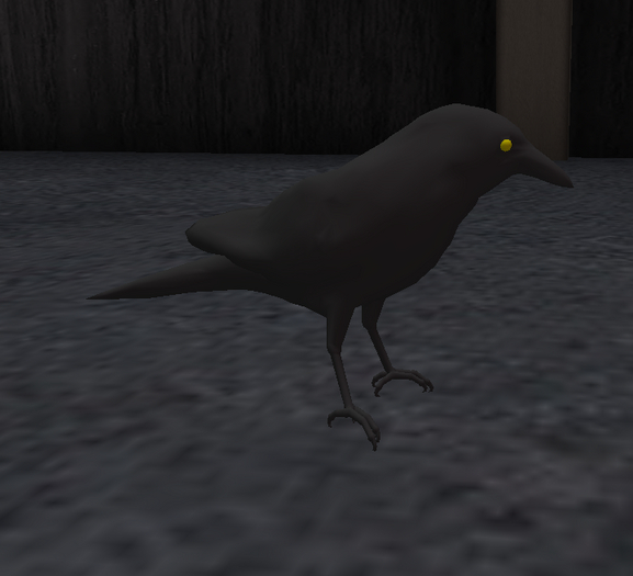 Full Perm Rigged Crow mesh avatar no texture
