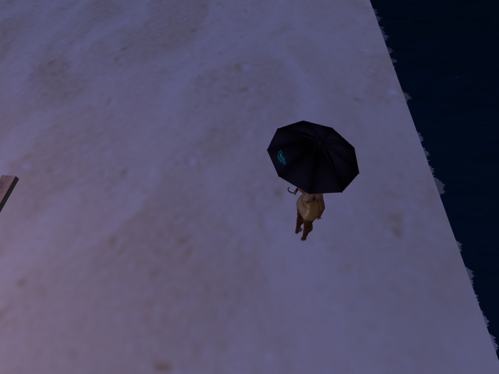 Best Weather Umbrella (G)