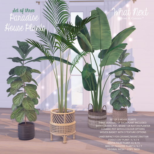 {wn} Paradise House Plants (boxed)