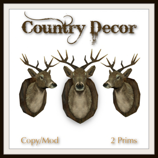 Trophy Deer Head