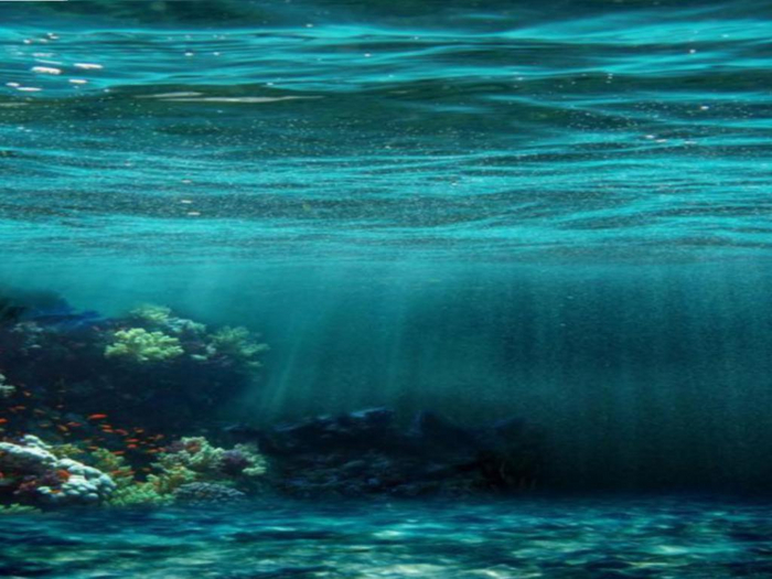 Underwater Life Texture