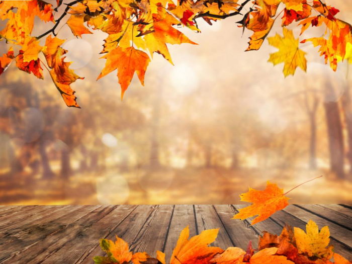 Fall Landscape Texture