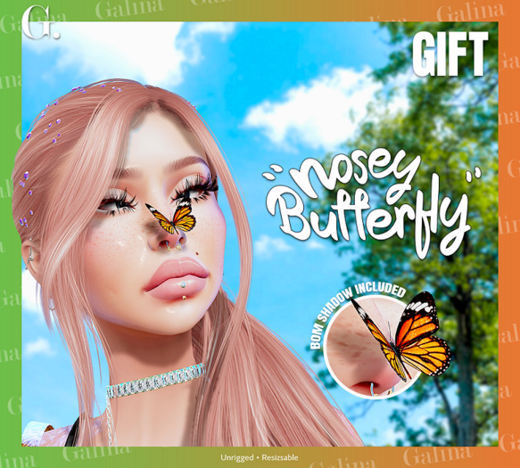 G: Nosey Butterfly *GIFT*