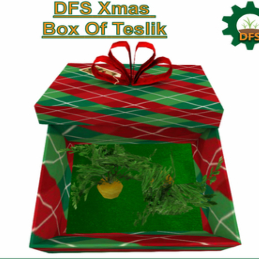 DFS Xmas Box Of Teslik