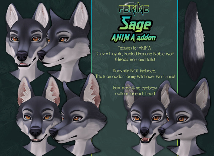 [Ferine] Sage ANIMA addon