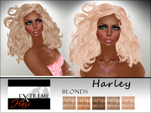 Harley light blondes - Hair Extreme