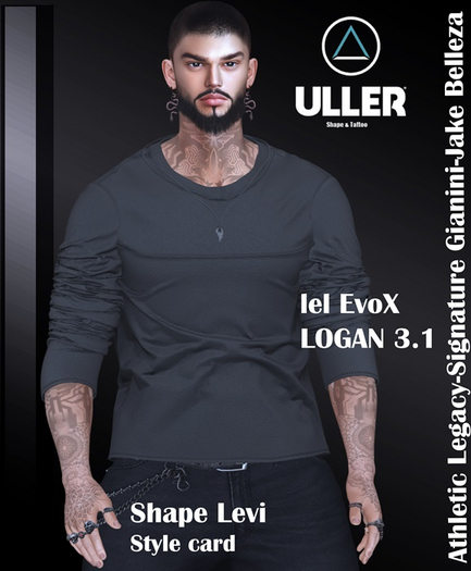 Shape Levi lel EvoX LOGAN 3.1