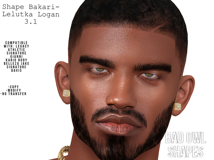 SHAPE BAKARI-LELUTKA LOGAN 3.1