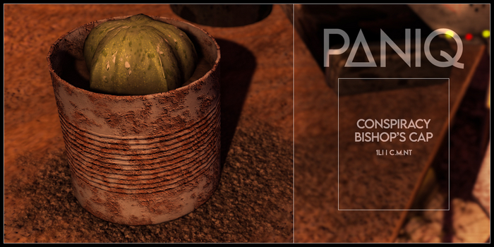 PANIQ - Conspiracy Bishop's Cap