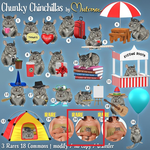 21. Mutresse-Chunky Chinchillas RARE
