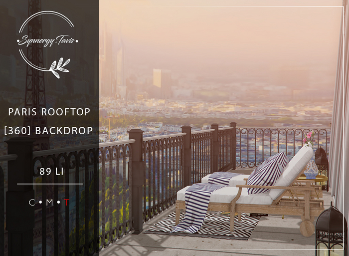 SYNNERGY.TAVIS//Paris Rooftop Backdrop -  ADD TO UNPACK